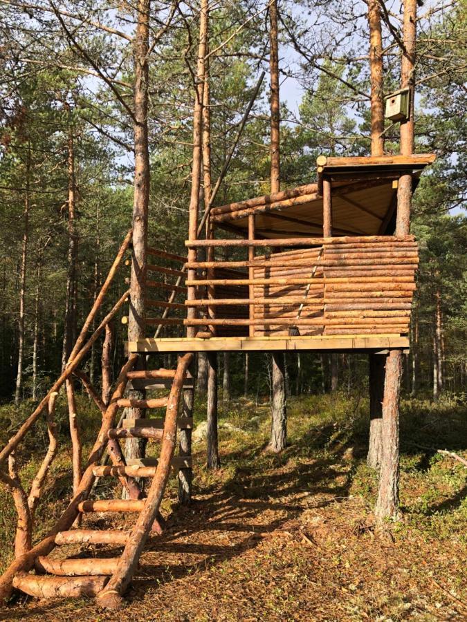 Timber Cottages With Jacuzzi And Sauna Near Lake Vaenern Karlstad Luaran gambar